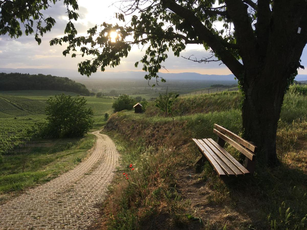 Ferienhaus Irene Vogtsburg Exteriér fotografie